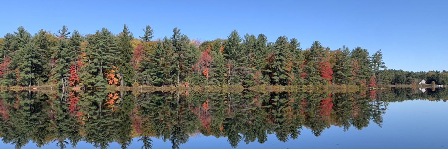 Markus O'Brien Fehr banner