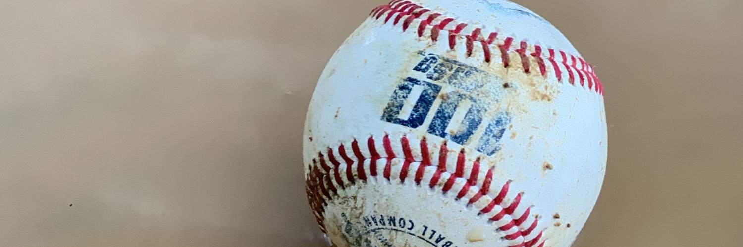 Broadalbin-Perth Baseball banner