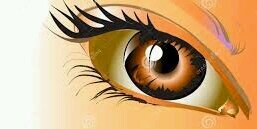 TheWomenEntrepr's profile banner image