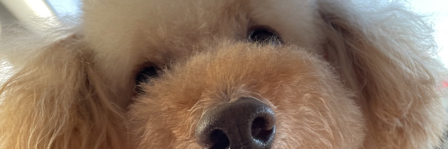 rafurafu102's profile banner image