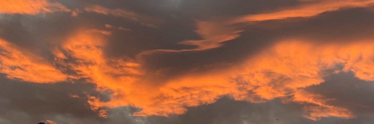 AdamBvo's profile banner image