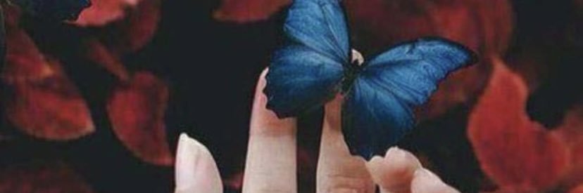 budoor_19's profile banner image
