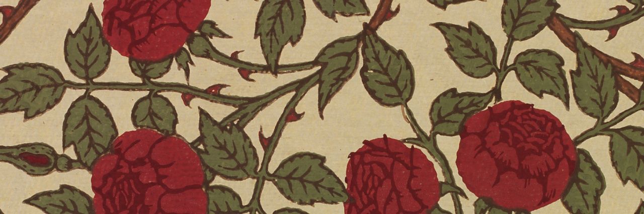ArctosPan's profile banner image