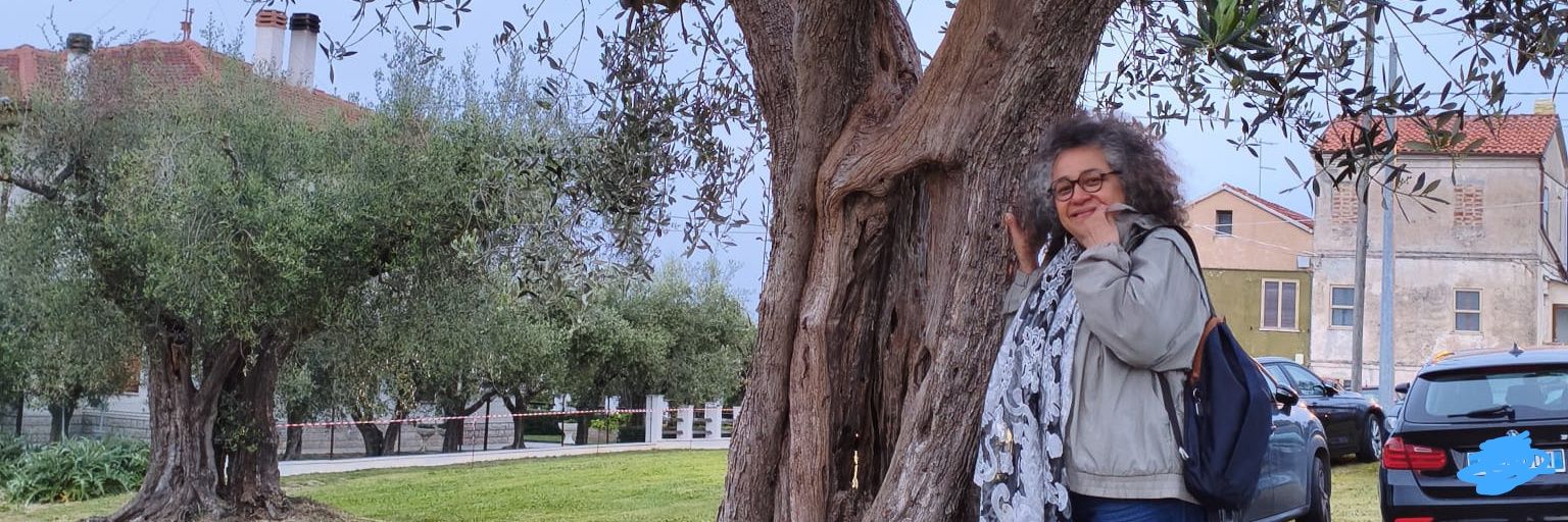 SCatldo's profile banner image