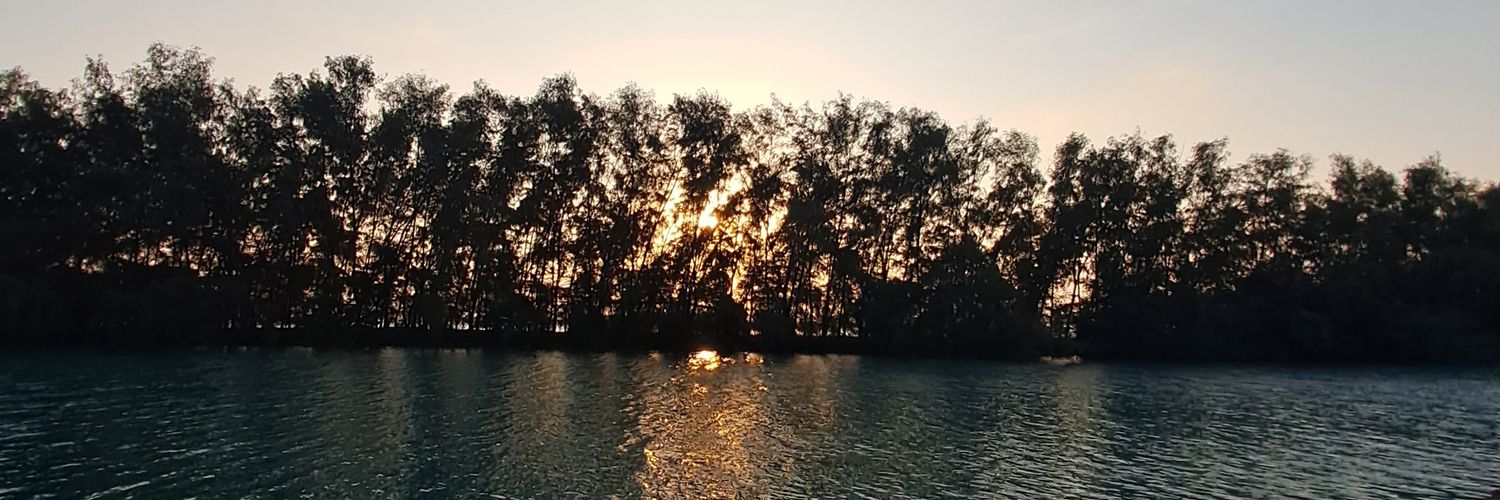 ladydezuga's profile banner image