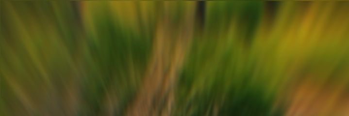 Altafi_1's profile banner image