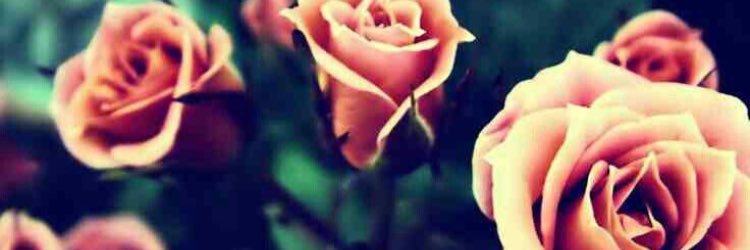 KGatecliffe's profile banner image