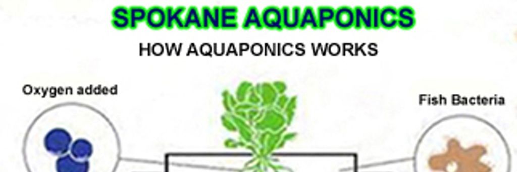 SAquaponics's profile banner image