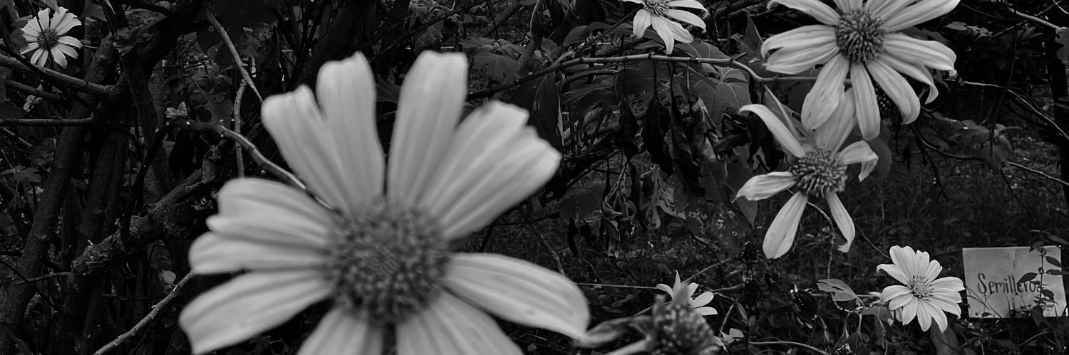 jaran_ly's profile banner image