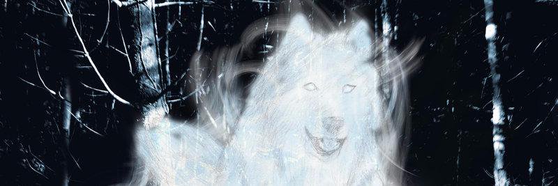 Remustty's profile banner image