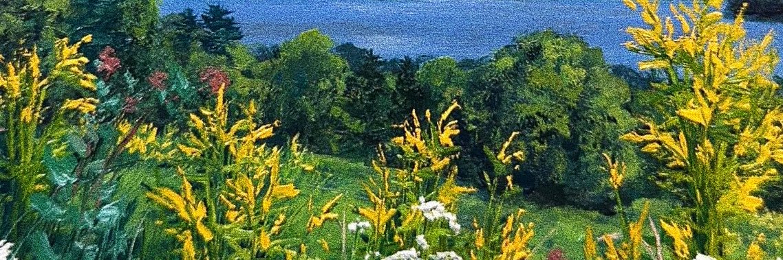 tbhluiss's profile banner image