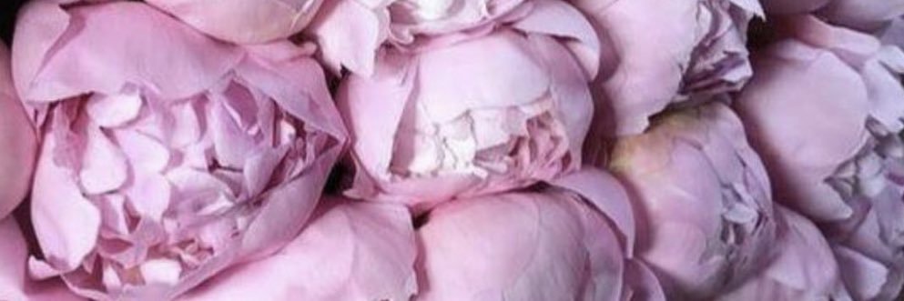 Nuria Delicado banner