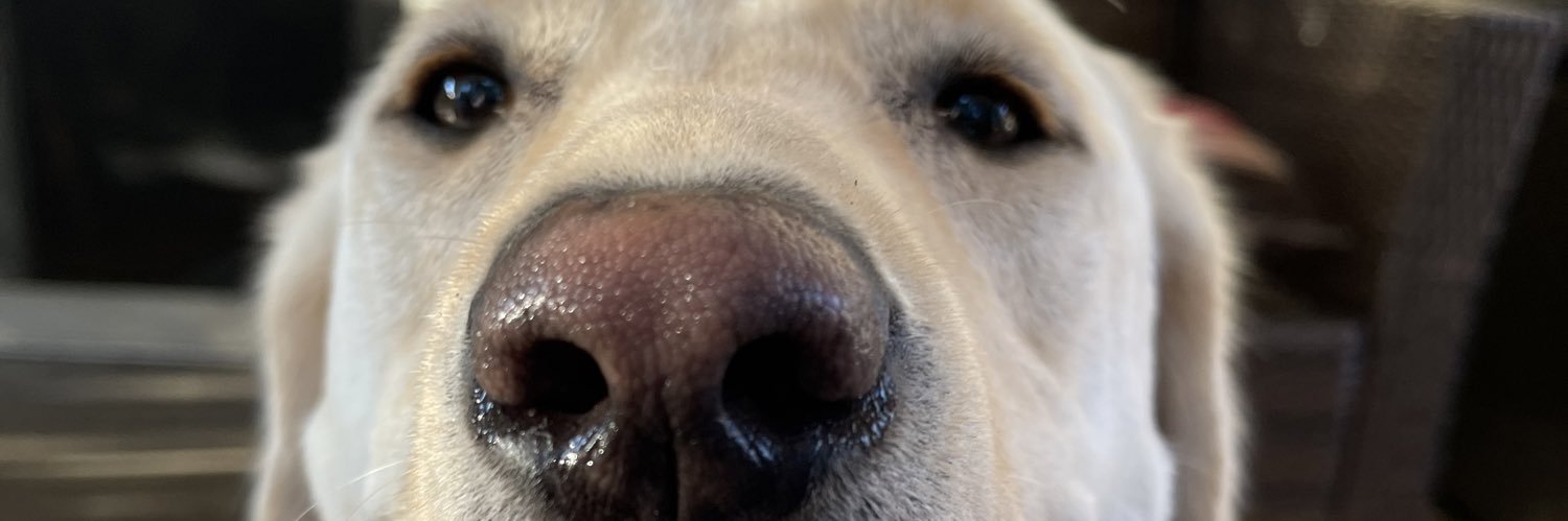 MACKandcheese97's profile banner image