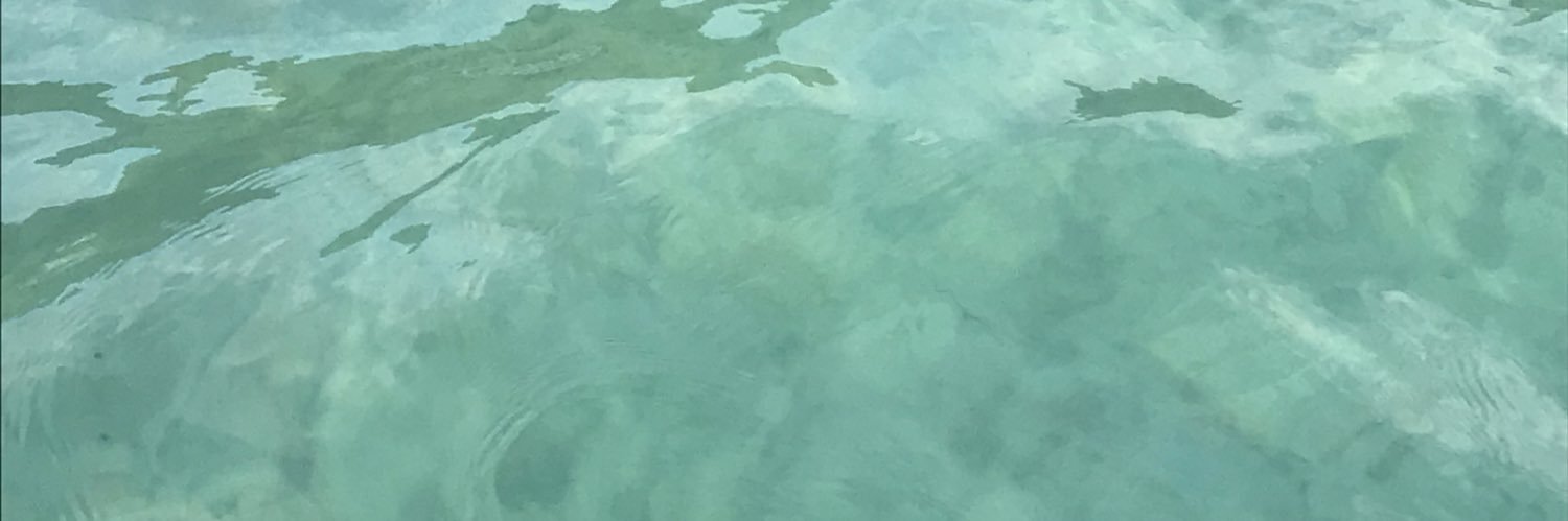 ericiscool98's profile banner image