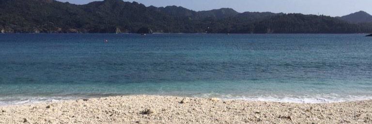 marinos_tsuki's profile banner image