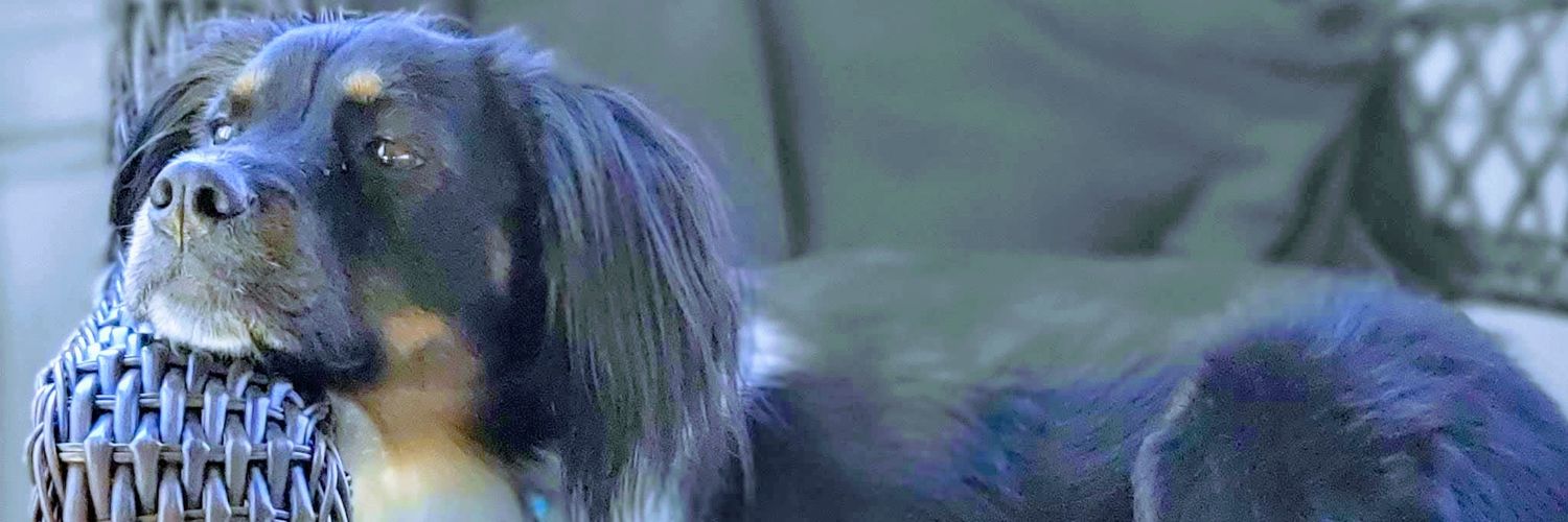 KyleJCage's profile banner image