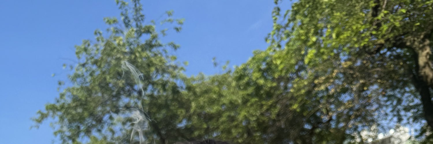 ASanabs's profile banner image