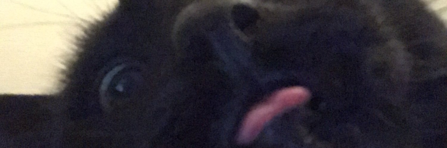 _AshKB's profile banner image