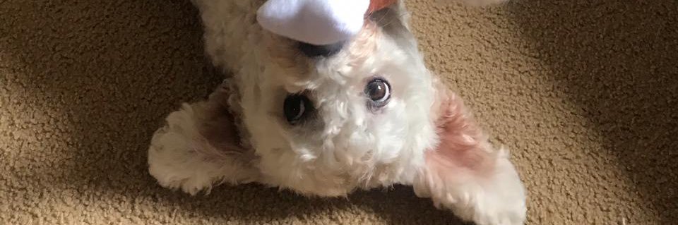 Kacamo26's profile banner image