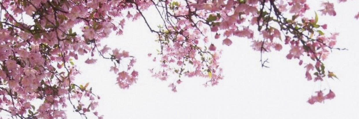Zaion9's profile banner image
