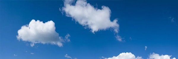 Greenie_Birb's profile banner image