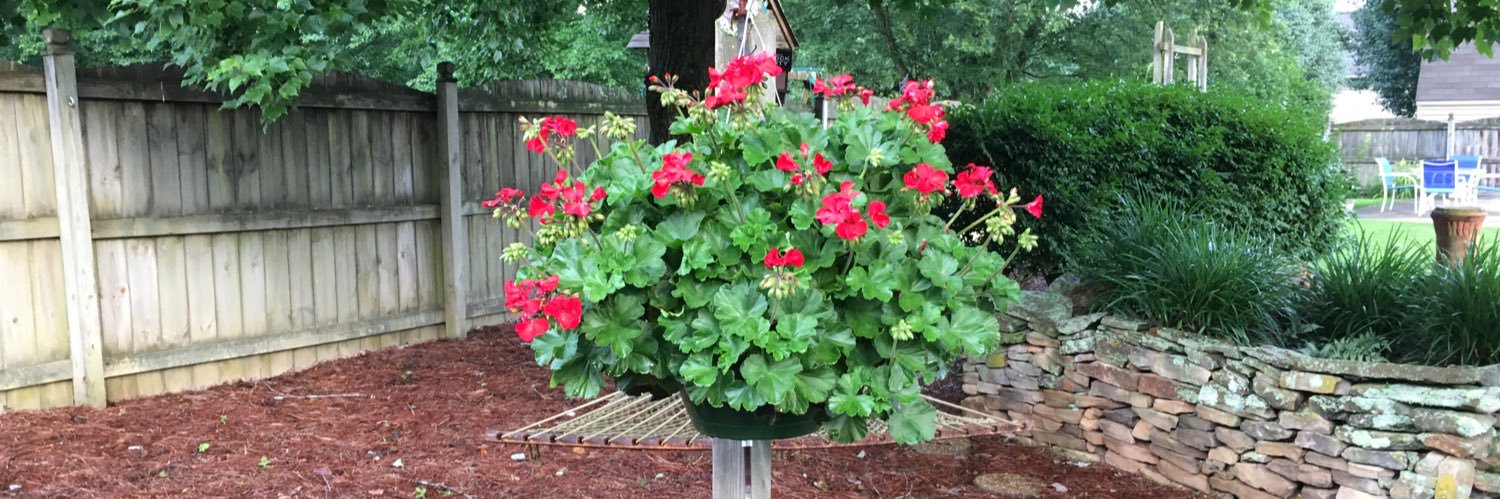 Debbie estridge banner