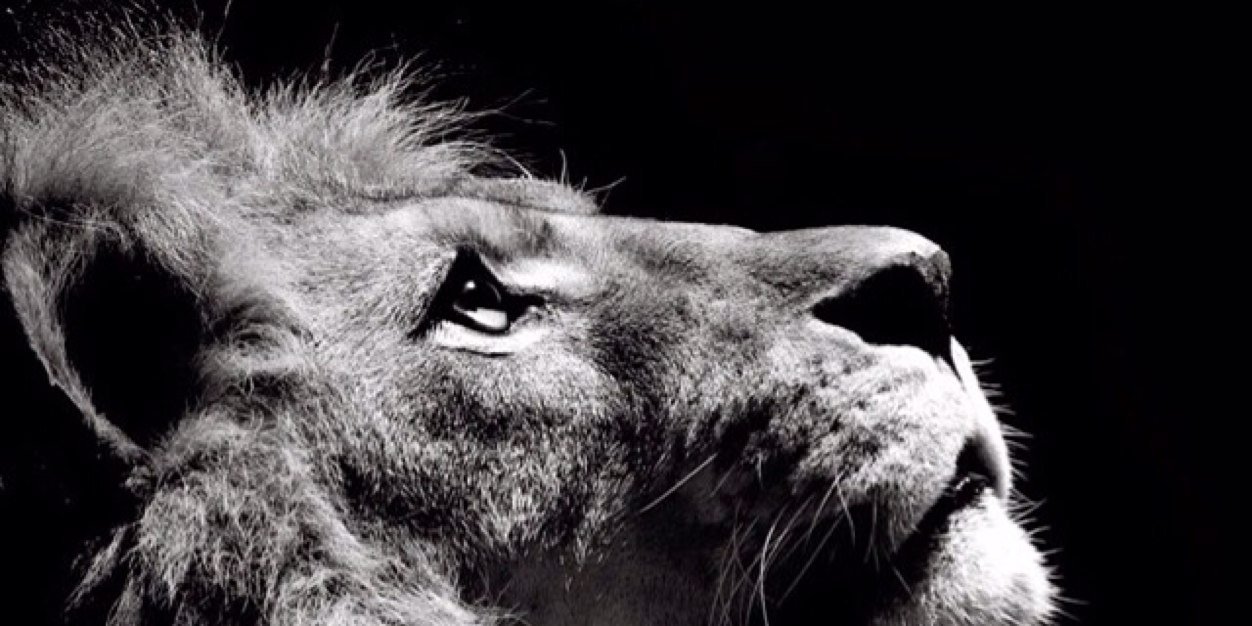 Ben_smith92's profile banner image