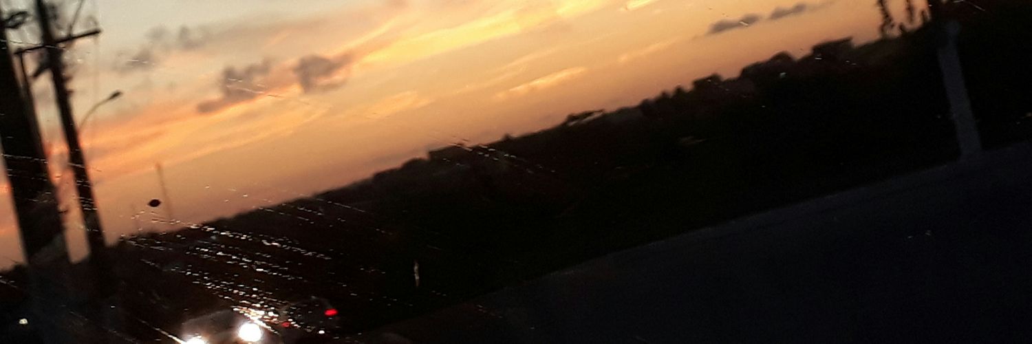 Matheuszaraky's profile banner image