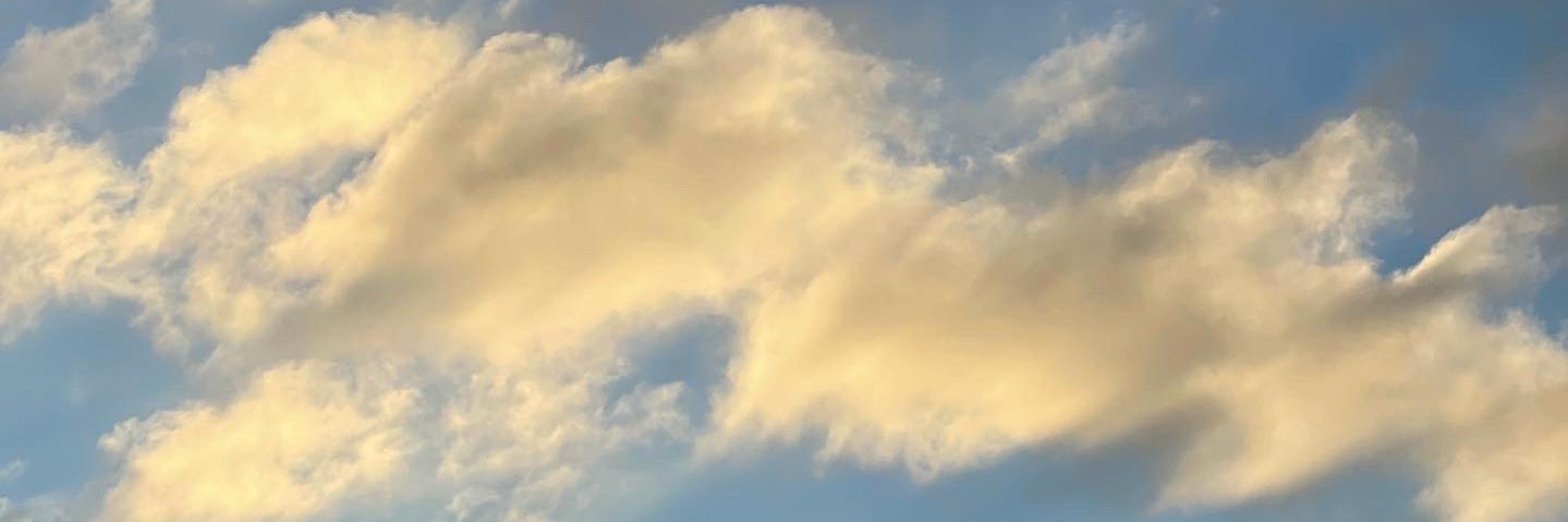fridapinamx's profile banner image