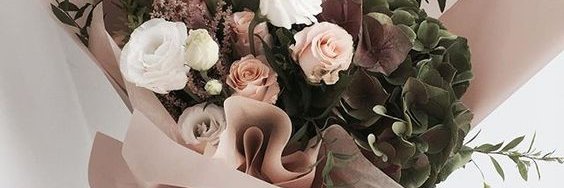 rosselizaa's profile banner image