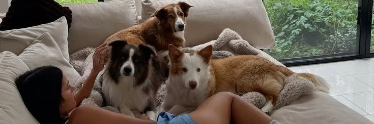 K9_Kaylaa's profile banner image