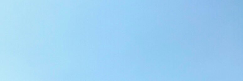 Monicuchi_'s profile banner image