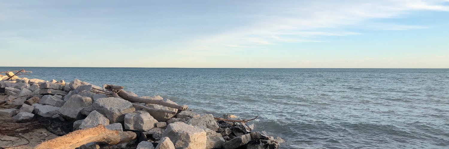 Julia Frebault banner