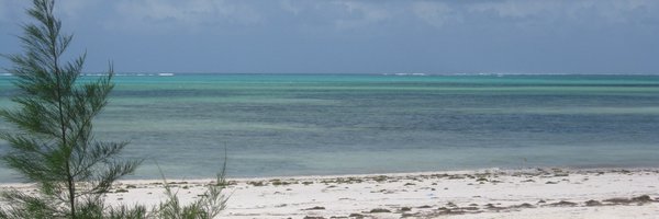 ASynthesist Profile Banner