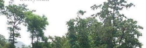 mk5953's profile banner image