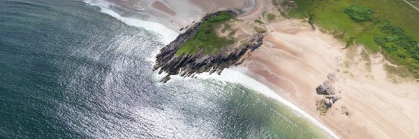 gingermammoth Profile Banner