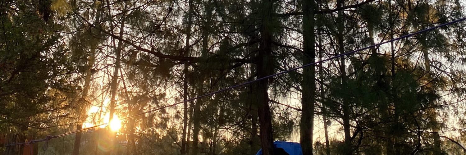 paaulioso's profile banner image
