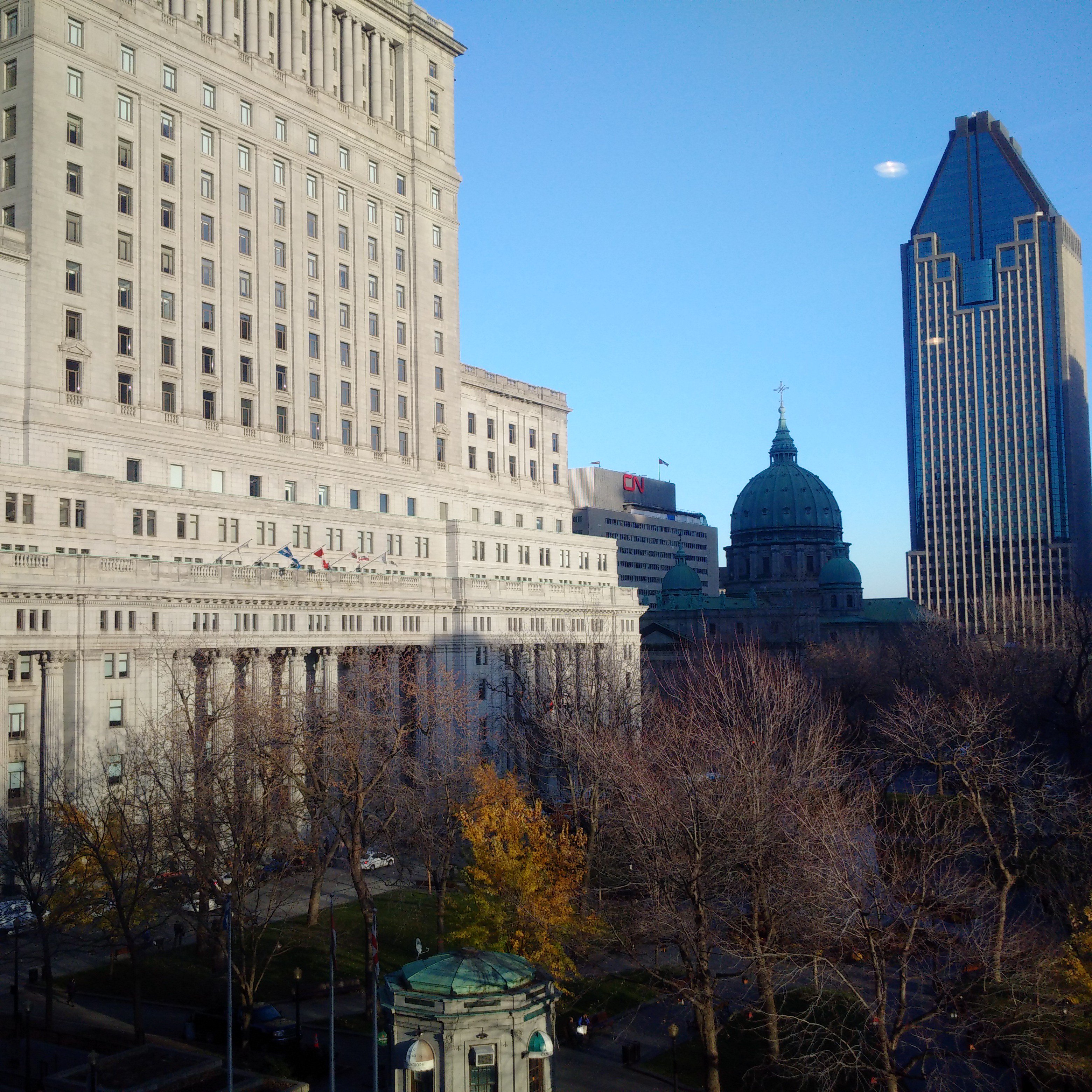 Blind Jaywalker banner