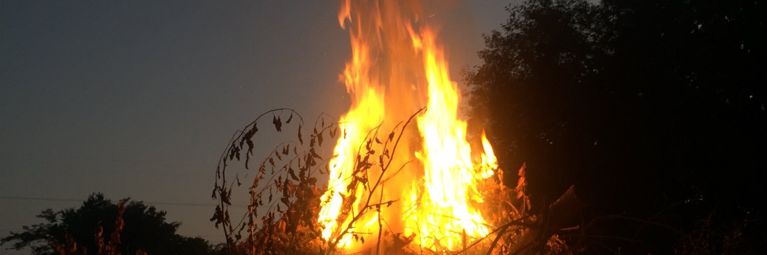norabrynn1's profile banner image