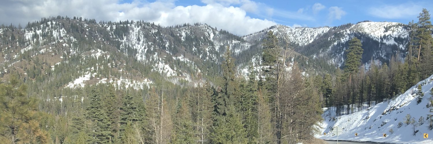 Gscheid99's profile banner image