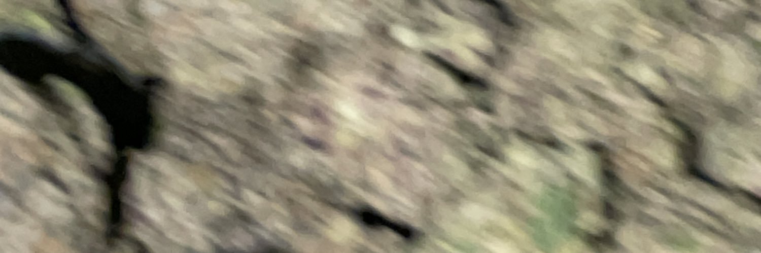 1YKBeau's profile banner image