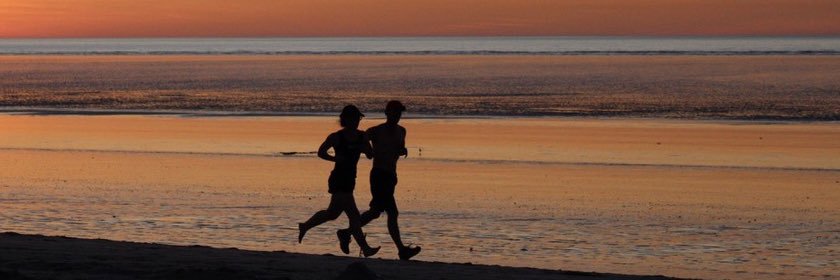 Lucien van Riswijk banner