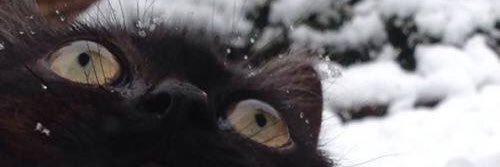 truth4ever87's profile banner image