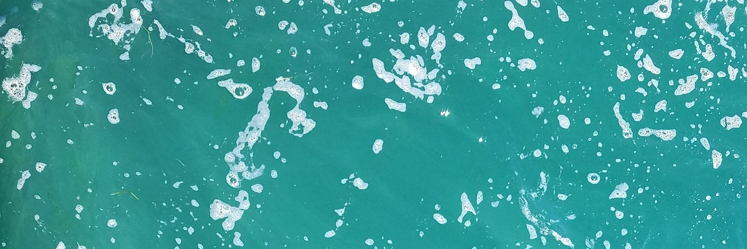 easterbunnie14's profile banner image
