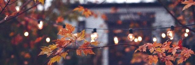 cocoocal's profile banner image
