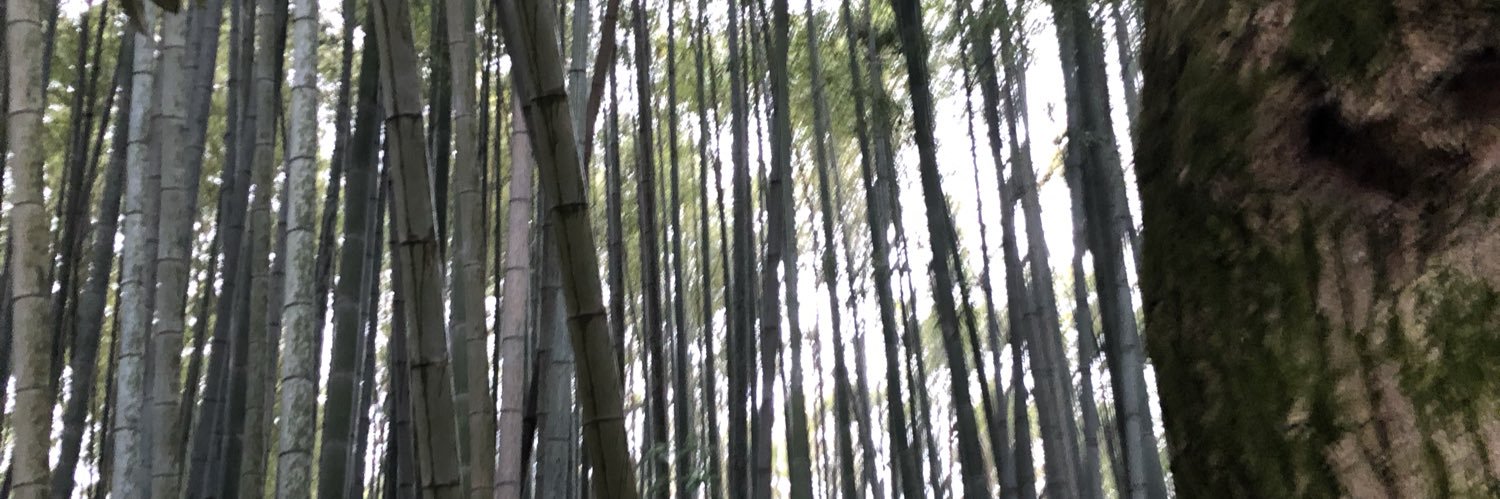with_imp_vision's profile banner image