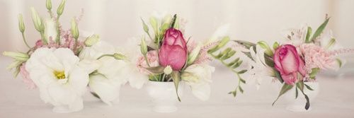 AsmaaSaudi's profile banner image