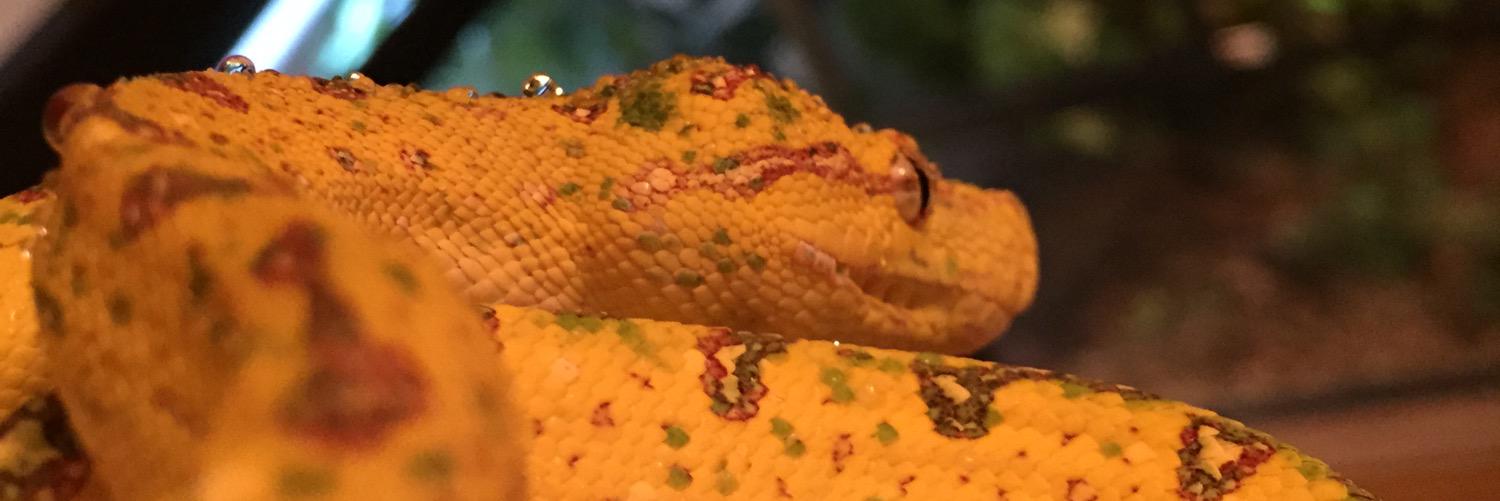 Omglogan's profile banner image