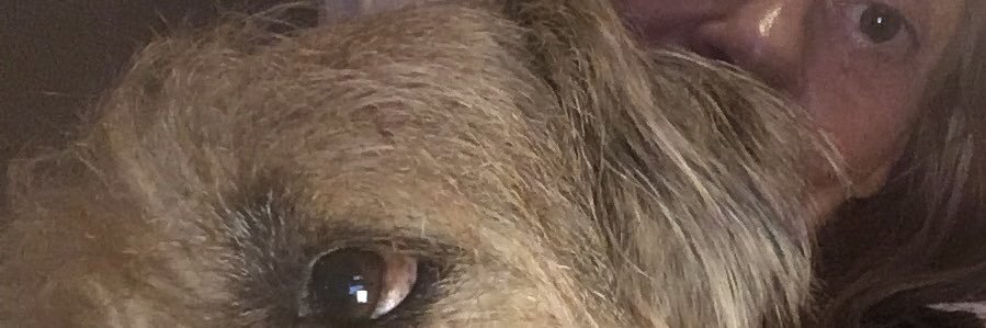 ruthdangerfield's profile banner image