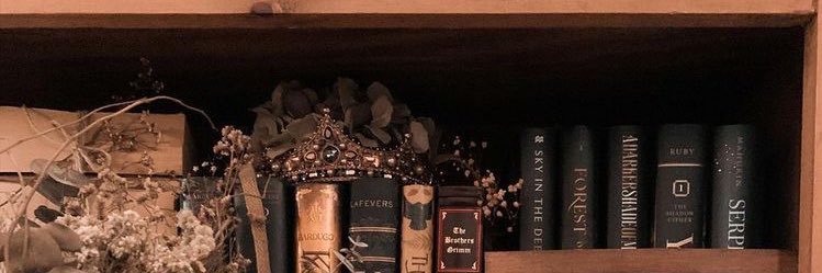 hailey__cattt's profile banner image